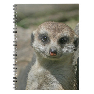 Meerkat 005 notitieboek