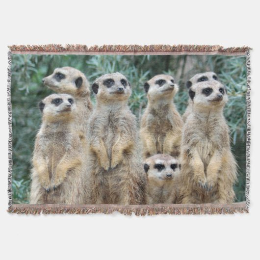 Meerkat 006 deken (Voorkant)