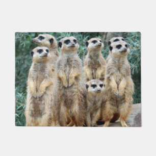 Meerkat 006 deurmat