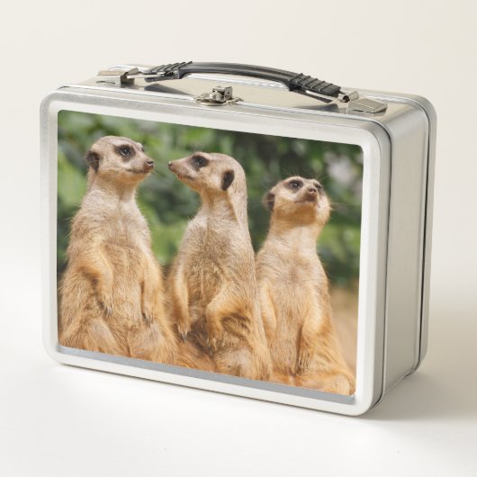Meerkat 007 (Voorkant)
