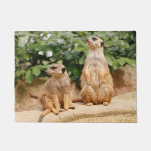 Meerkat 009 deurmat