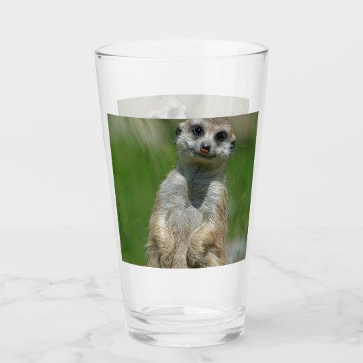Meerkat 013 glas (Voorkant)