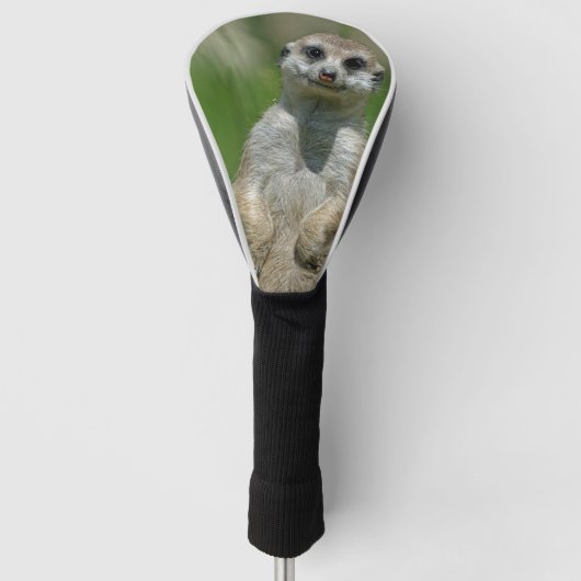Meerkat 013 golfheadcover (Voorkant)