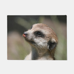Meerkat 014 deurmat