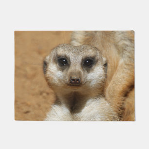Meerkat 016 deurmat