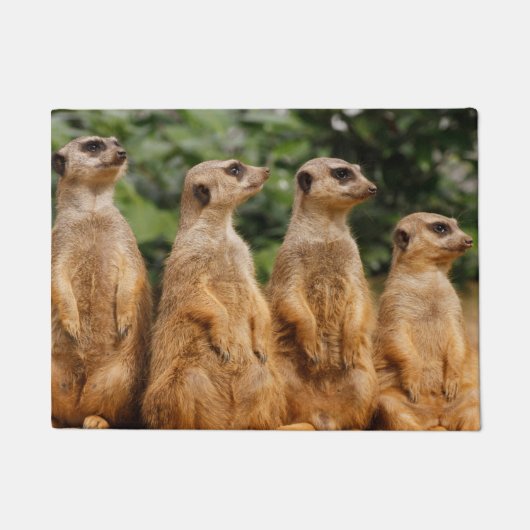 Meerkat 018 deurmat (Voorkant)