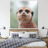 Meerkat 020 canvas afdruk (Insitu (Slaapkamer))