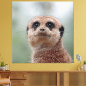 Meerkat 020 canvas afdruk (Insitu (Woonkamer))