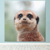 Meerkat 020 canvas afdruk (Insitu (Houten vloer))