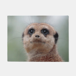 Meerkat 020 deurmat