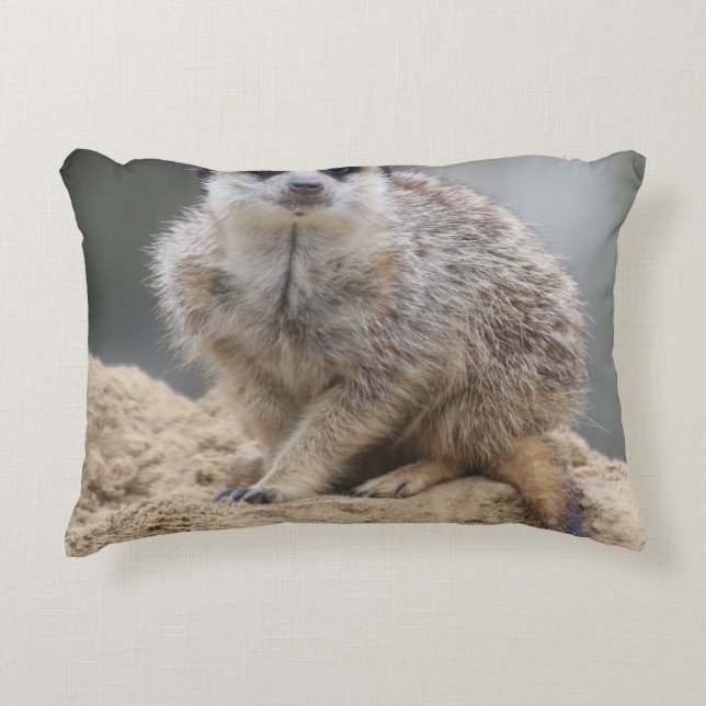 Meerkat 021 accent kussen (Voorkant)