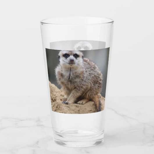Meerkat 021 glas (Voorkant)