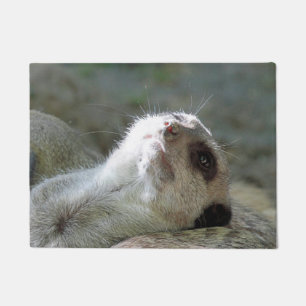 Meerkat 024 deurmat