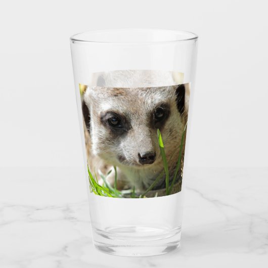Meerkat 026 glas (Voorkant)
