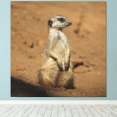 Meerkat 027 canvas afdruk (Insitu (Houten vloer))