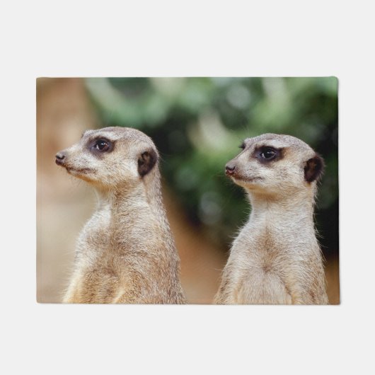 Meerkat 030 deurmat (Voorkant)