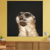 Meerkat 032 canvas afdruk (Insitu (Woonkamer))