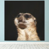 Meerkat 032 canvas afdruk (Insitu (Houten vloer))
