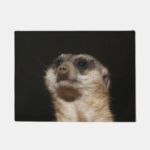 Meerkat 032 deurmat