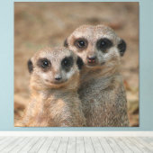 Meerkat 033 canvas afdruk (Insitu (Houten vloer))