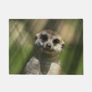 Meerkat 034 deurmat