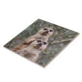Meerkat 035 tegeltje (Zijkant)