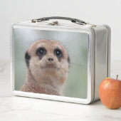 Meerkat 036 (In situ)