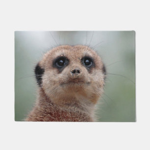 Meerkat 036 deurmat
