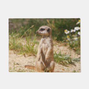 Meerkat 038 deurmat