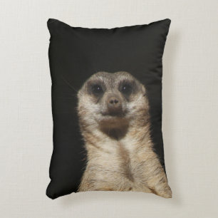 Meerkat 040 accent kussen