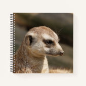 Meerkat 048 notitieboek (Voorkant)