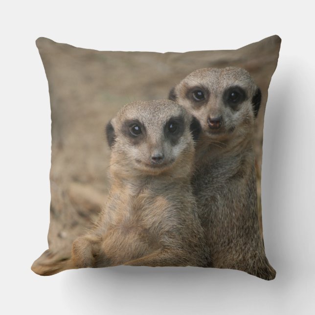 Meerkat 067 kussen (Voorkant)