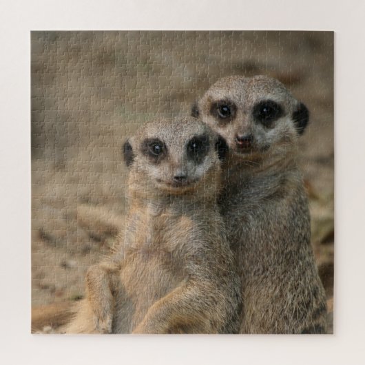 Meerkat 067 legpuzzel (Verticaal)