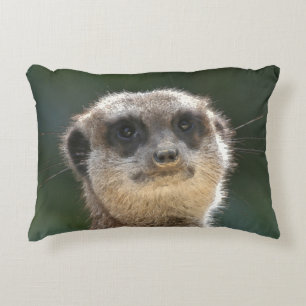 Meerkat 068 accent kussen