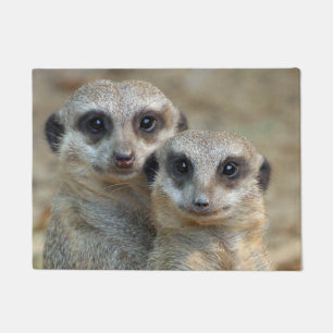 Meerkat 085 deurmat