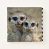 Meerkat 085 notitieboek (Achterkant)