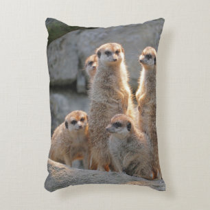 Meerkat 110 accent kussen