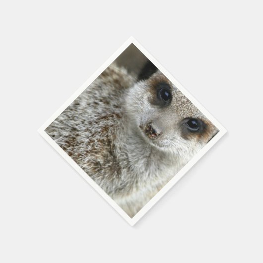 meerkat-16.jpg servetten (Hoek)