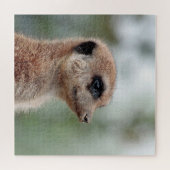 Meerkat 180 legpuzzel (Horizontaal)