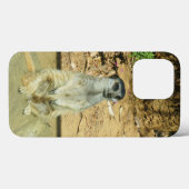 Meerkat #1 iPhone 13 Pro Coque (Verso (horizontal))
