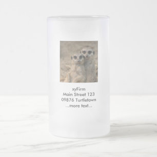 Meerkat_20170901_by_JAMFoto Matglas Bierpul