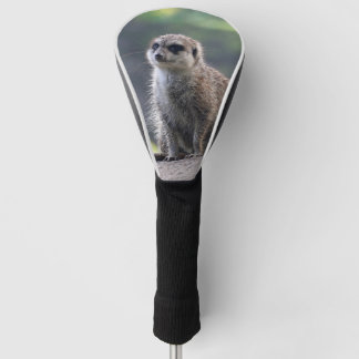 Meerkat_2019001 Golfheadcover