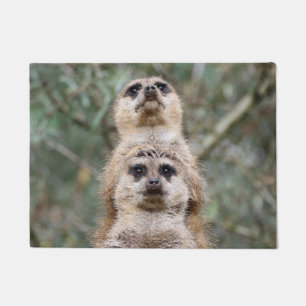 Meerkat 81 deurmat