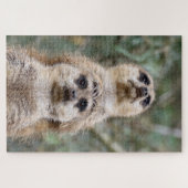 Meerkat 81 legpuzzel (Horizontaal)