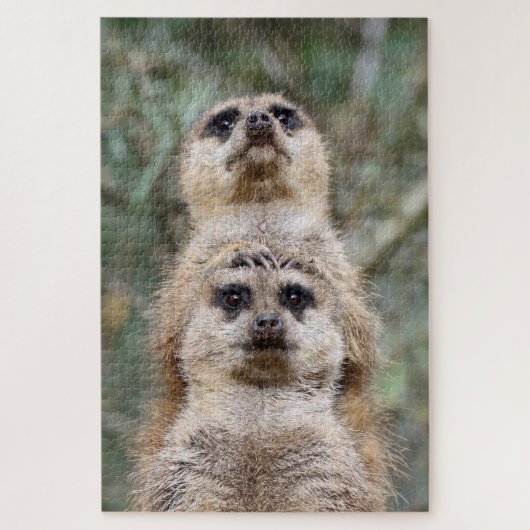 Meerkat 81 legpuzzel (Verticaal)