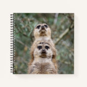 Meerkat 81 notitieboek (Voorkant)