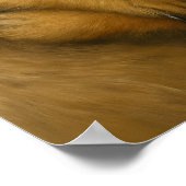 Meerkat Affection Poster (Hoek)