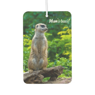 Meerkat Auto luchtverfrisser