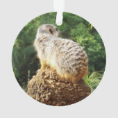 Meerkat, Avec De Hautes Vues, (dos)
