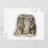 Meerkat baby twins briefkaart (Voorkant / Achterkant)